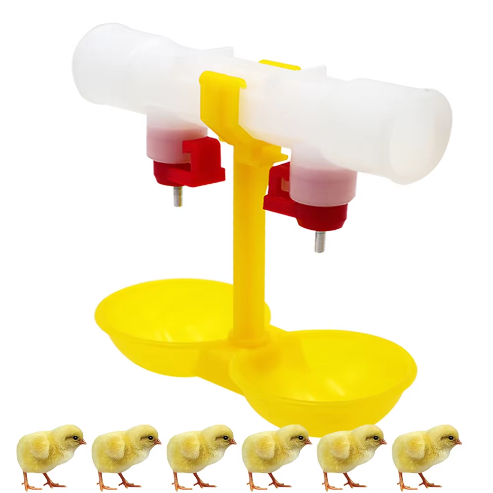 5/10/20Pcs Chicken Double Head - Zwitsal Baby Products review and price