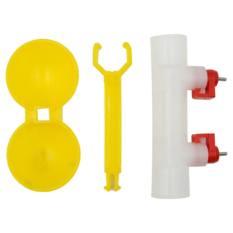 5/10/20Pcs Chicken Double Head - Zwitsal Baby Products review and price