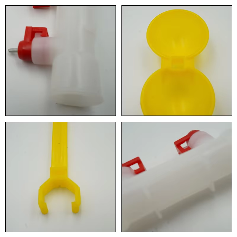 5/10/20Pcs Chicken Double Head - Zwitsal Baby Products review and price